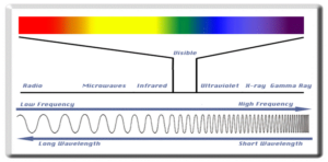 thermography testing